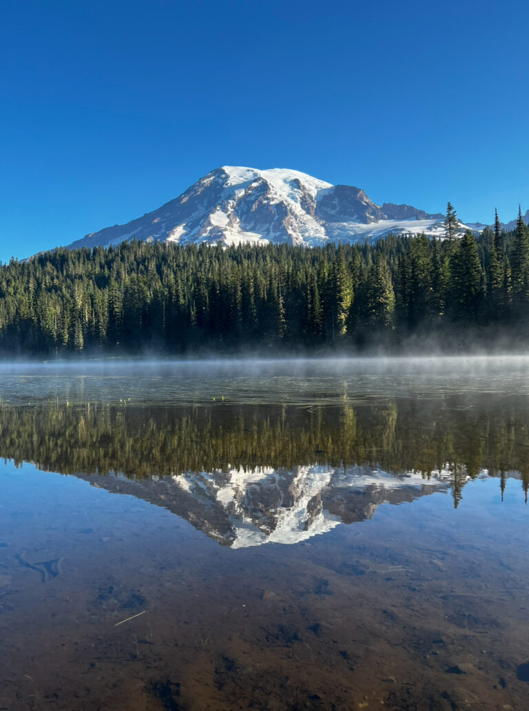 Guide to Mount Rainier National Park