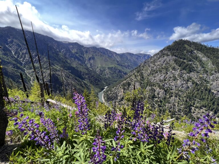 Icicle Ridge Lookout